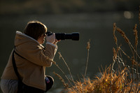 Stock Photos-photos
