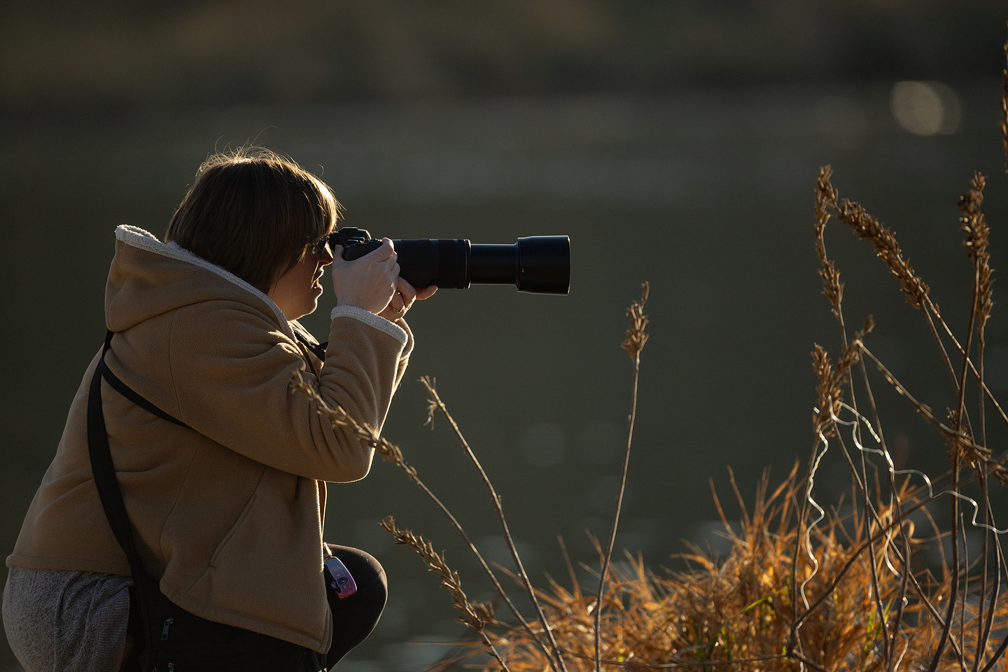 Photographer Amy Benkis working in the field