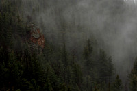 Through the Veil