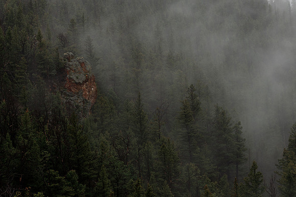 Through the Veil